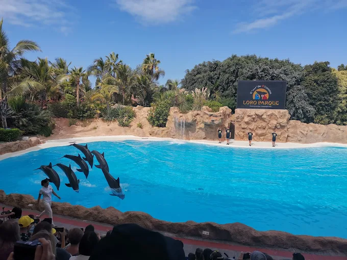 Loro Parque