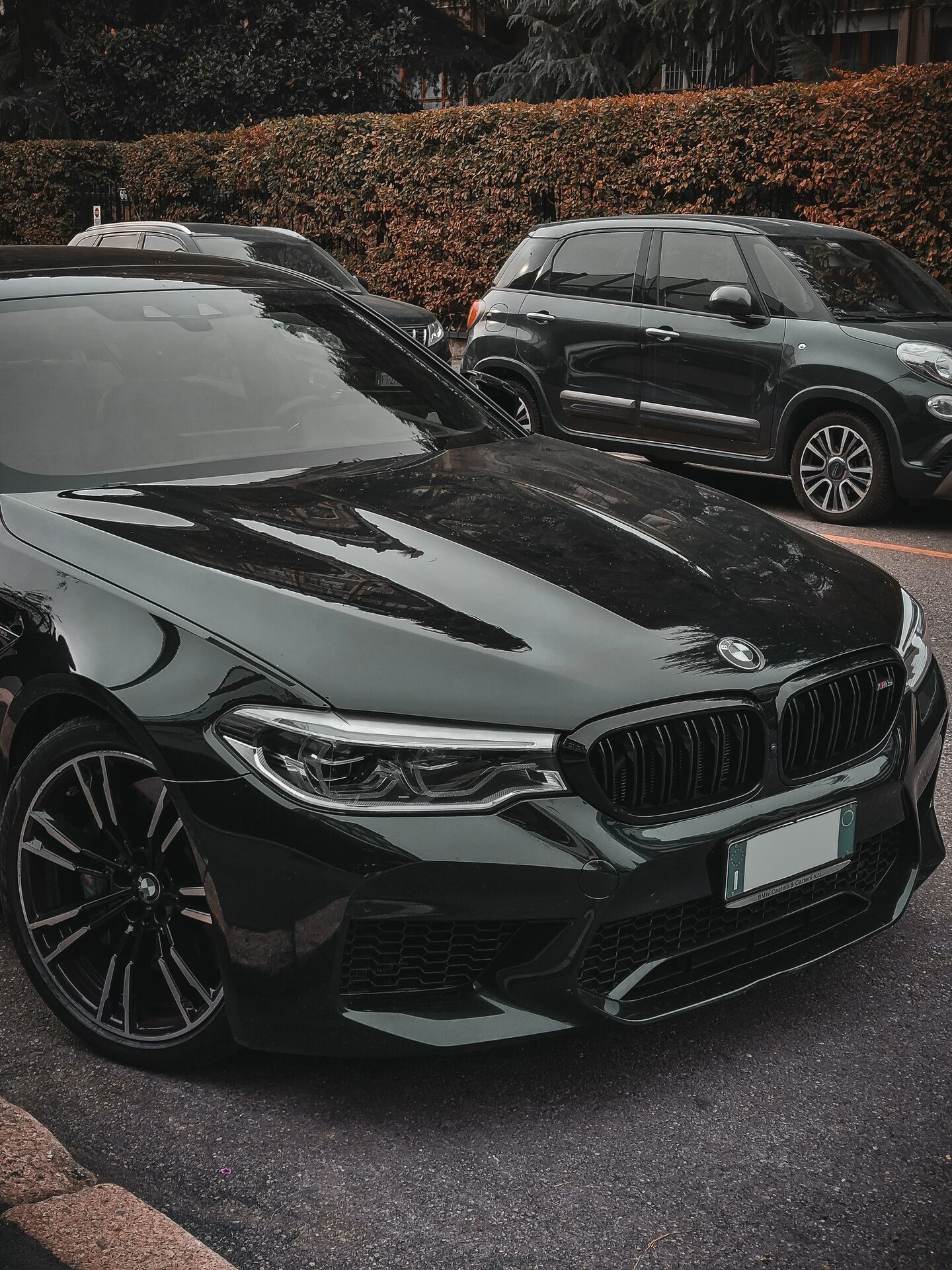 Luxury Car Rental
