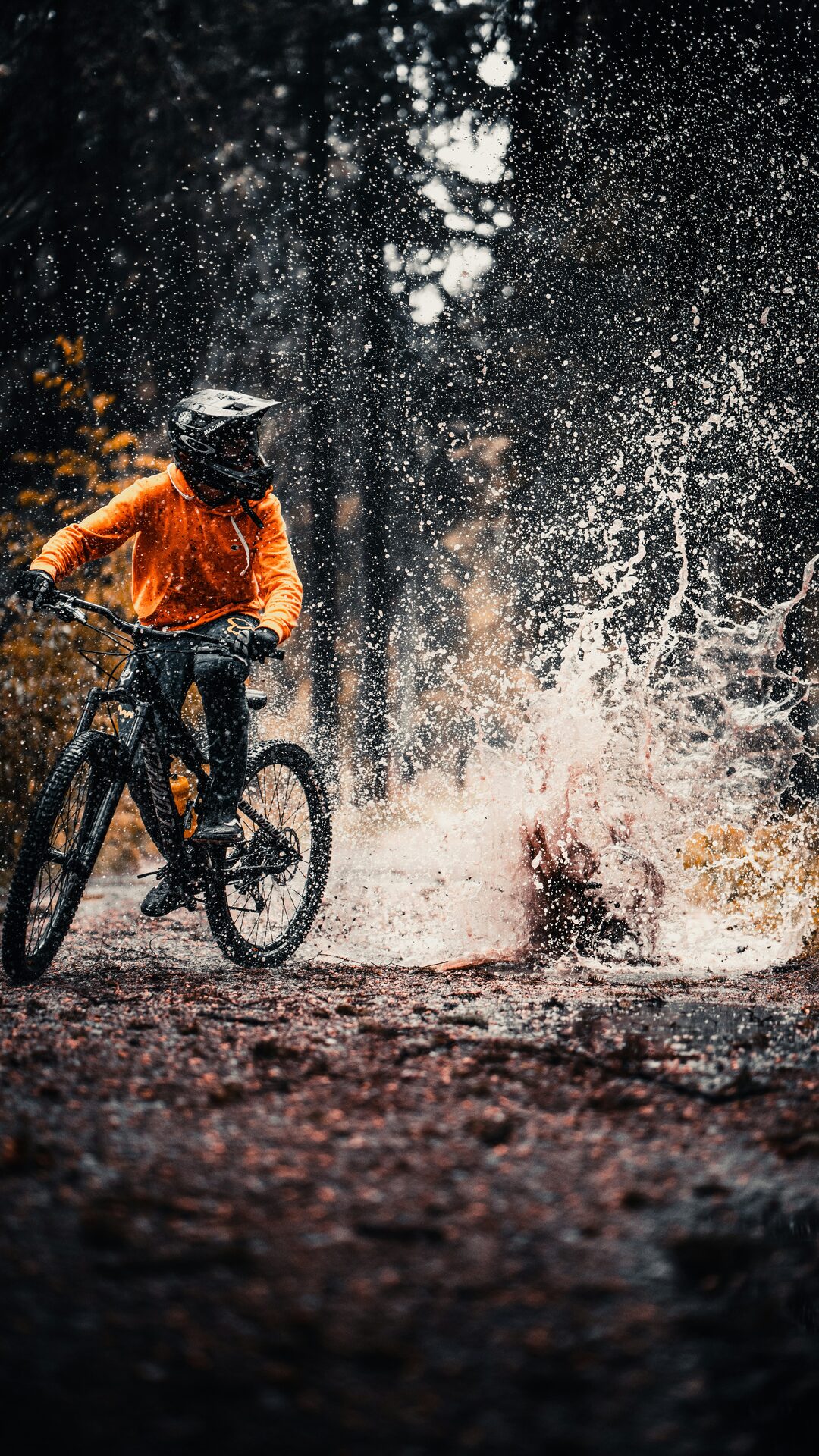 Mountain Biking